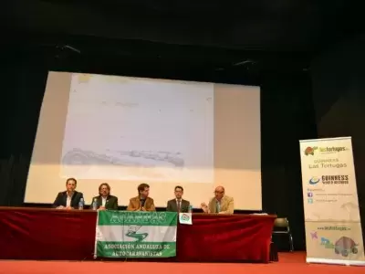 Guinness Les Tortues