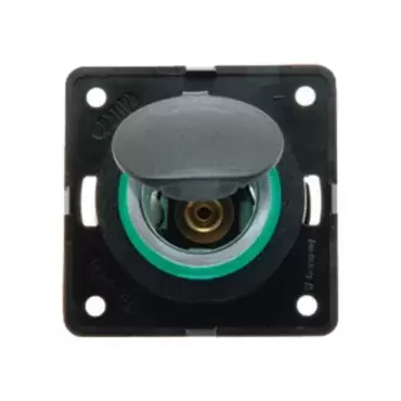 Prise encastrée 12 volts avec cache-ligne Berker pour caravane, camping-car et camping-car