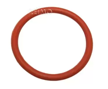 Joint torique en silicone pour ensembles de cheminée Truma 53X5MM