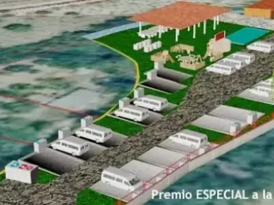 DE MITORTUGA.ES NOUS VOULONS FÉLICITER VIRUTAS ÁREA