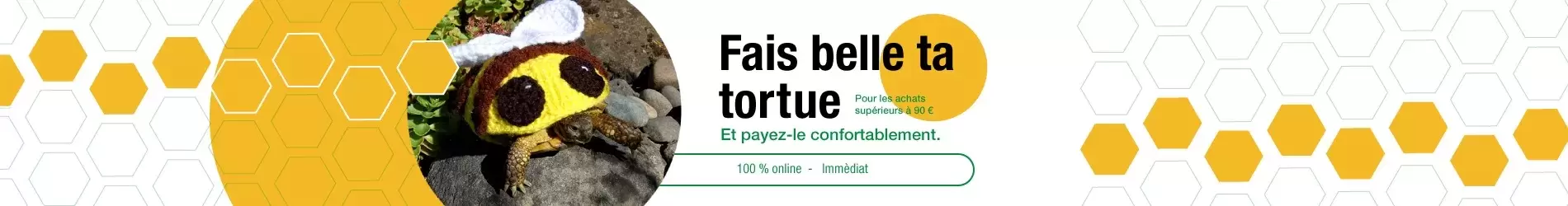 fais-belle-ta-tortue